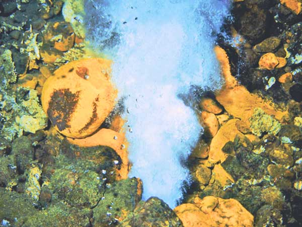 Interaktionen von Wasser, Luft, Gestein und Leben: Mikroben steuern CO2 und Nährstoffkreisläufe; von Hydrothermalquellen über Sedimente zu Korallenriffen; Isotopen-Tracer lesen Archive biogeochemischer Vergangenheit.