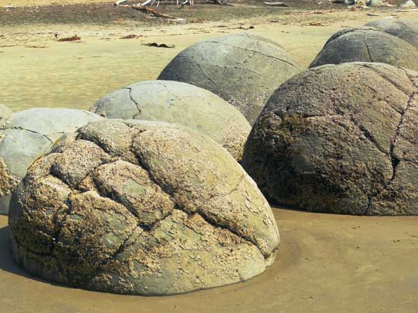 Activities and tasks, dates and members of the Examination Board of the Bachelor Program Geosciences and Bachelor Marine Geosciences