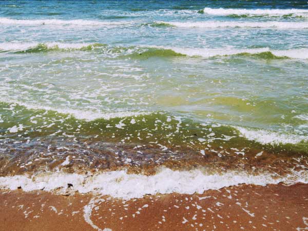 Activities and tasks, dates, and members of the examination board for the master`s programs in Applied Geosciences and Marine Geosciences