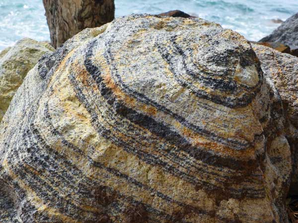 Members of the consultancy for study affairs and career perspectives