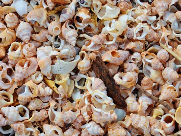 Members of the external funding administration for departments FB5 and MARUM