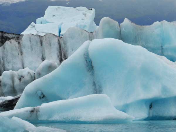 Activities, tasks and members, and dates of the doctoral committee