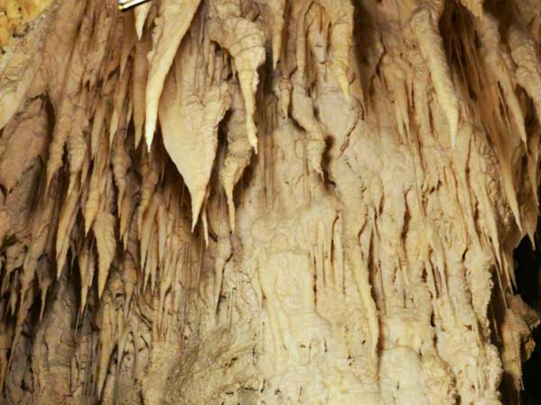 Representatives at the department