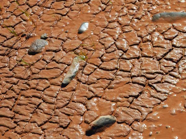 Activities, tasks, members and dates of the Advisory Board for Study Affairs