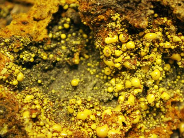 Dynamische Erde: Plattentektonik von Ozeanrücken bis Gebirgen, Meeresbodenkartierung und Geophysik, Plattenbewegung und Magmatismus, Exhumation, Wasser-Gesteinsreaktionen, Zeolithe, Ressourcen.