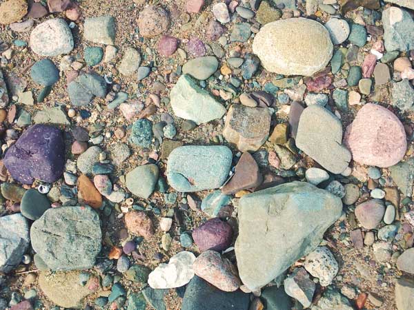 Die Mitglieder der Fachbereichsverwaltung 