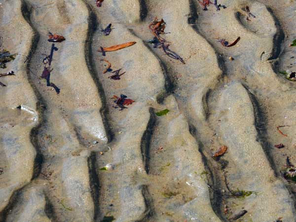 Tätigkeiten, Aufgaben, Mitglieder und Termine des Fachbereichsrates