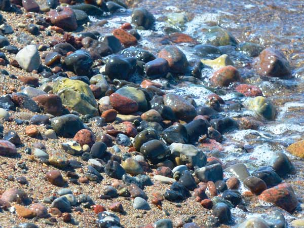 Studiengangsausschuss (StugA)
