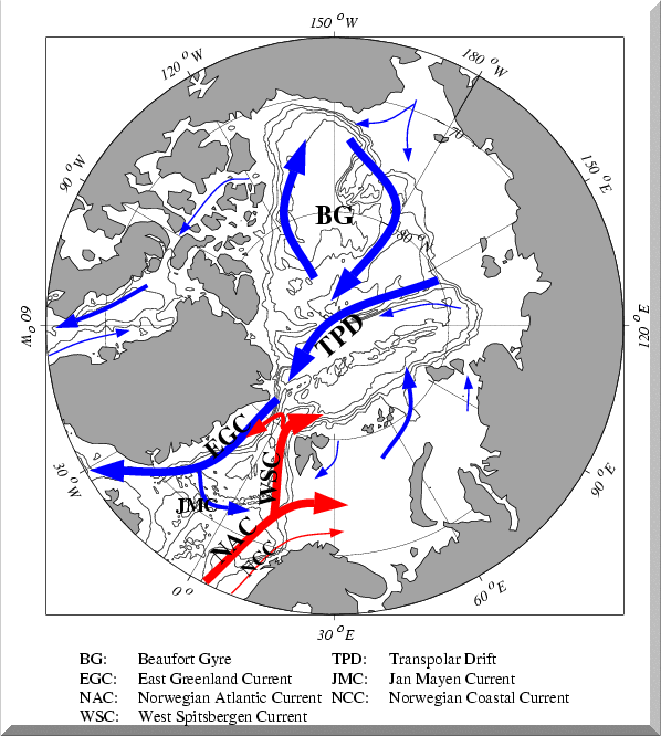 Arctic Ocean Circulation